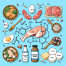 Qué tipo de proteína combinar con L-Thyroxine Sodium/Levothyroxine Sodium (LT4 sodium)